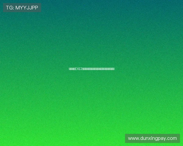 《洛克人EXE2图文全攻略:详解剧情、战斗技巧与隐藏要素》 《洛克人EXE2图文全攻略:详解剧情、战斗技巧与隐藏要素》